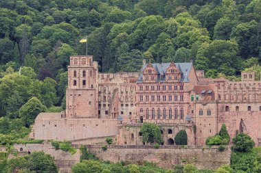 Felsefe 'nin yolundan görünen Heidelberg kalesindeki Neckar' a bakıyorum.