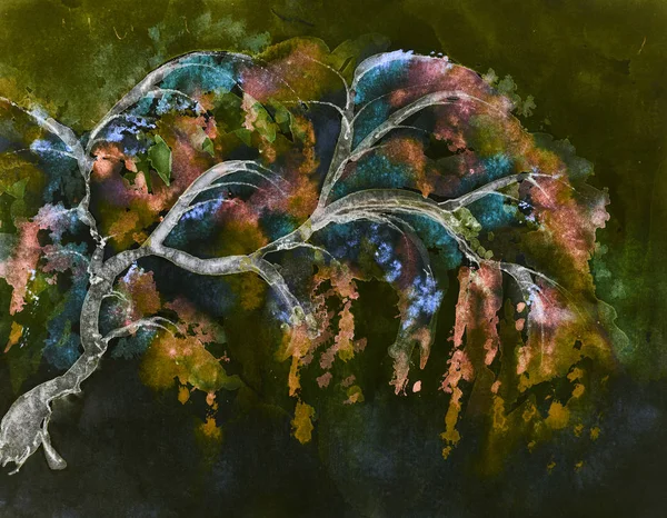 Цветные Ветви Осенью Ночью Техника Нанесения Мазков Вблизи Краев Дает — стоковое фото