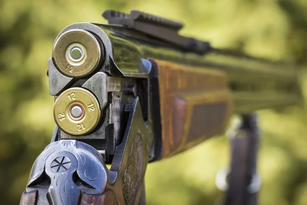Redőny vadászat puska — Stock Fotó