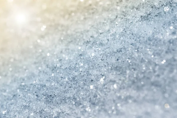 Na powierzchni śniegu — Zdjęcie stockowe