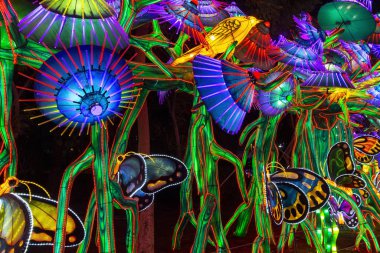 Dubai Bahçesi Uae 'de parlıyor