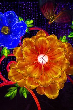 Dubai Bahçesi Uae 'de parlıyor