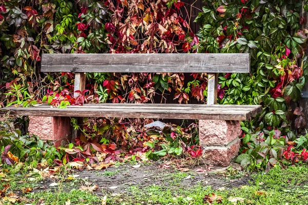 Tuin Houten bench — Stockfoto