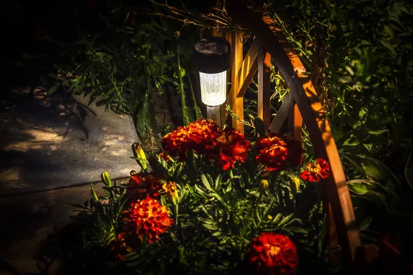 Garden lamp in the flower garden — Stok fotoğraf