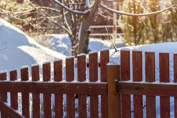 Снег во дворе — стоковое фото