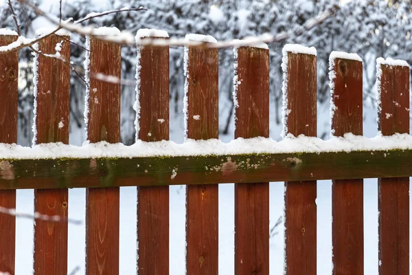 Снег во дворе — стоковое фото