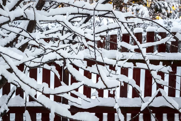 裏庭の雪 — ストック写真