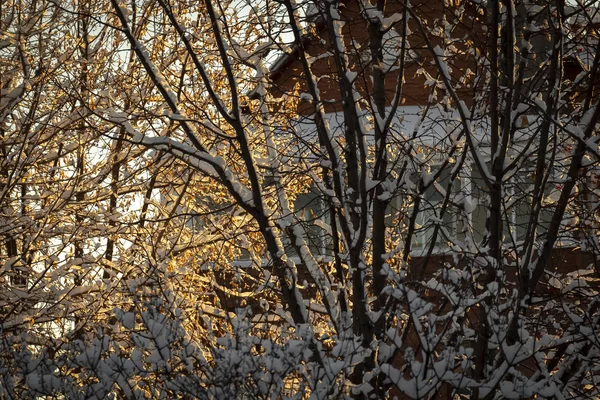 Winter auf dem Land — Stockfoto