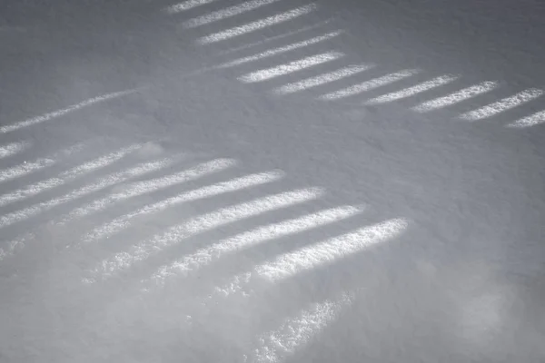 Sombras en la nieve —  Fotos de Stock