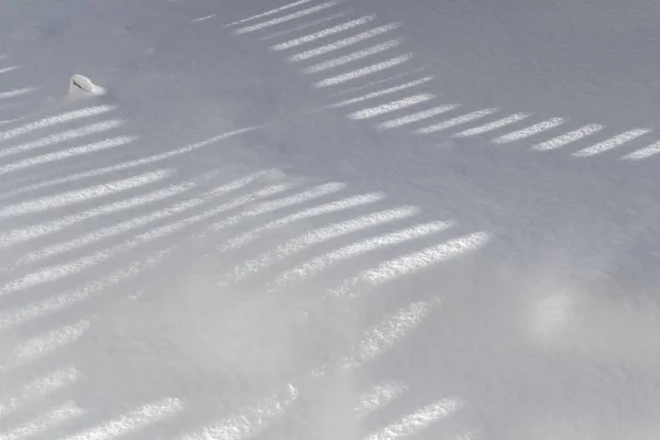 雪の中の影 — ストック写真