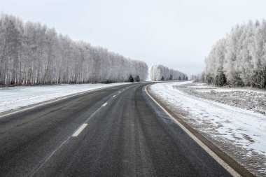Ağaçların arasındaki yol kalın buzullarla kaplıydı..