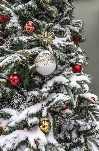 Snow Covered Decorated Christmas Tree Stands City Street Close — Stock Photo, Image