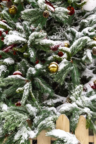 Snow Covered Decorated Christmas Tree Stands City Street Close — Stock Photo, Image