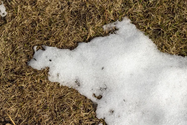 Schnee Schmilzt Allmählich Auf Dem Rasen — Stockfoto