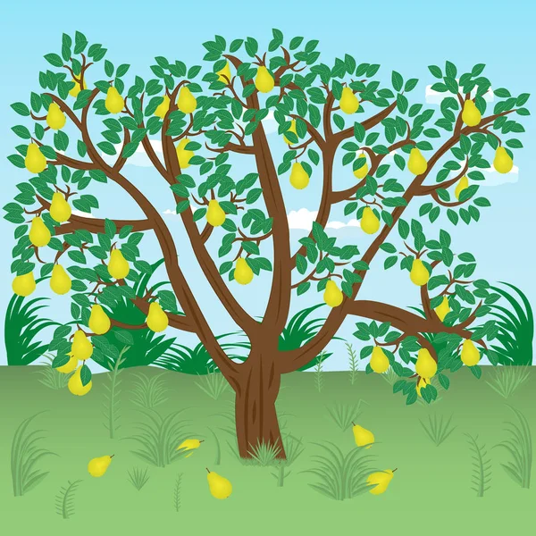 Bir çayırda armut ağacı — Stok Vektör