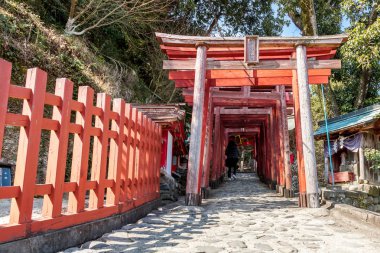 Torii kapısı Yutoku Inari tapınak Kashima City, destan ili, Kyushu Adası, Japonya.