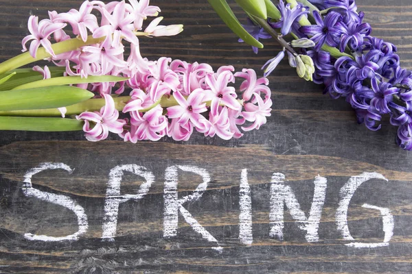 Word wiosna z Hiacyntów na podłoże drewniane — Zdjęcie stockowe