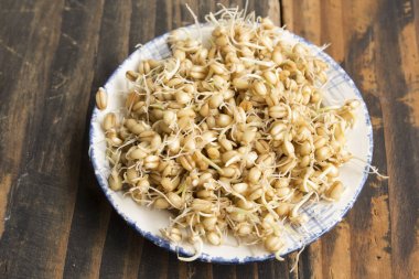 Bir plaka üzerinde filizlenmiş buğday