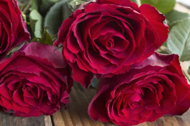 Bir buket kırmızı gül.