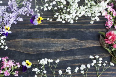 Kopya alanı ve çeşitli bahar çiçekleri