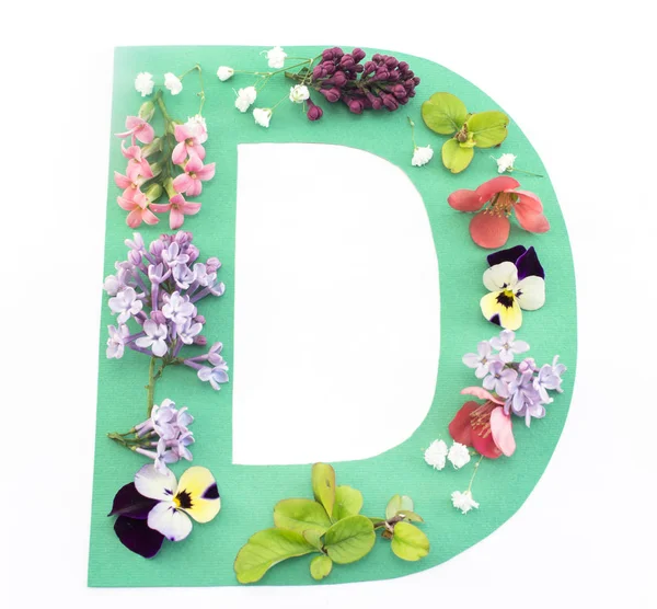 Buchstabe d aus Frühlingsblumen und Papier — Stockfoto