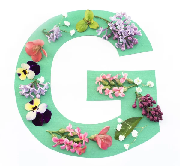 Carta G Feito de flores de primavera e papel — Fotografia de Stock