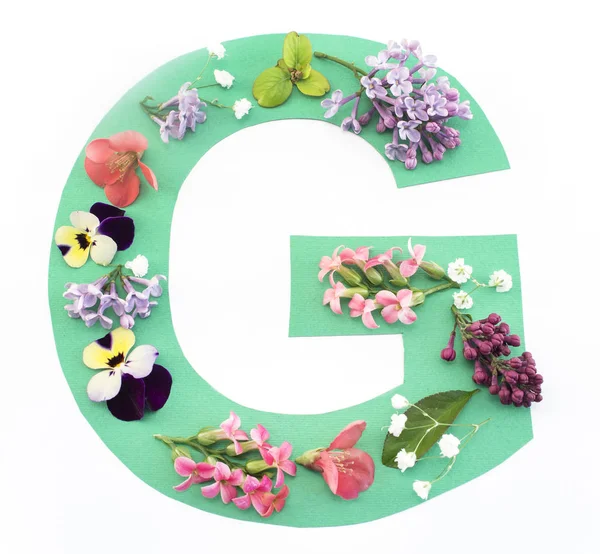 春の花と紙で作られた G 文字 — ストック写真