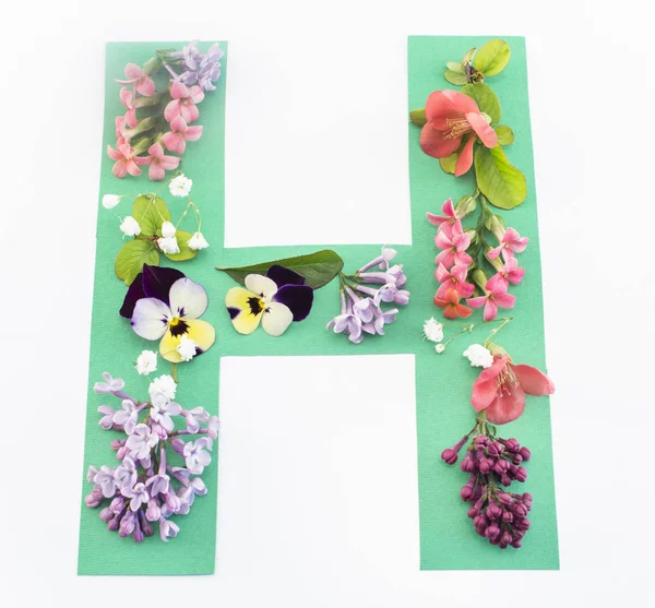 Buchstabe h aus Frühlingsblumen und Papier — Stockfoto