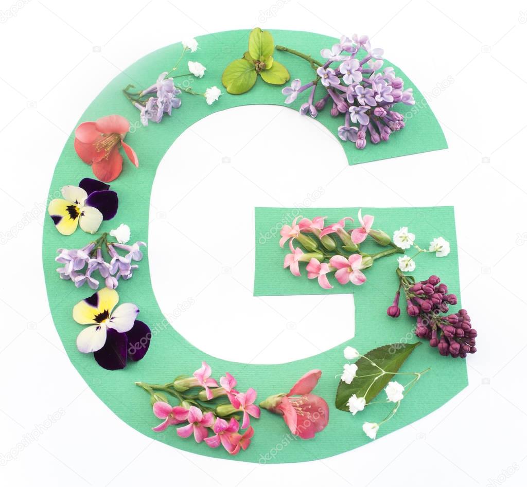 Letter G Made of Spring Flowers and Paper