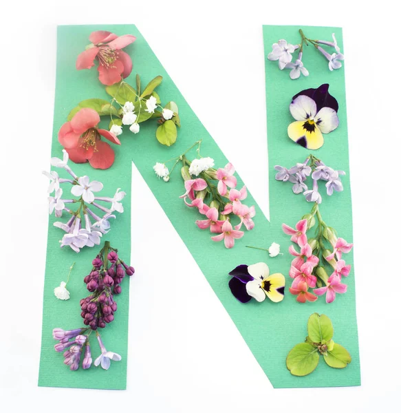 Buchstabe n aus Frühlingsblumen und Papier — Stockfoto