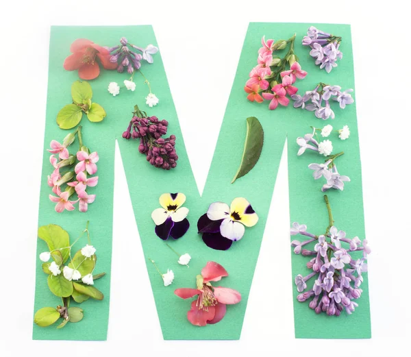 Buchstabe m aus Frühlingsblumen und Papier — Stockfoto