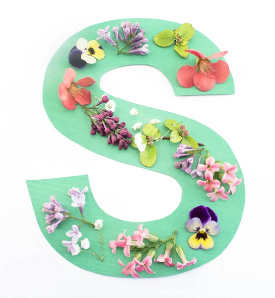 Buchstaben s aus Frühlingsblumen und Papier — Stockfoto