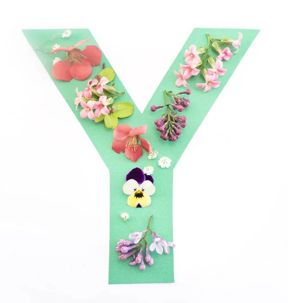 편지 Y의 봄 꽃 — 스톡 사진