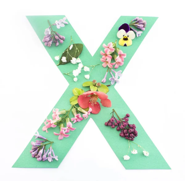 편지 X의 봄 꽃 — 스톡 사진