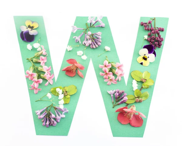 Buchstabe w aus Frühlingsblumen und Papier — Stockfoto
