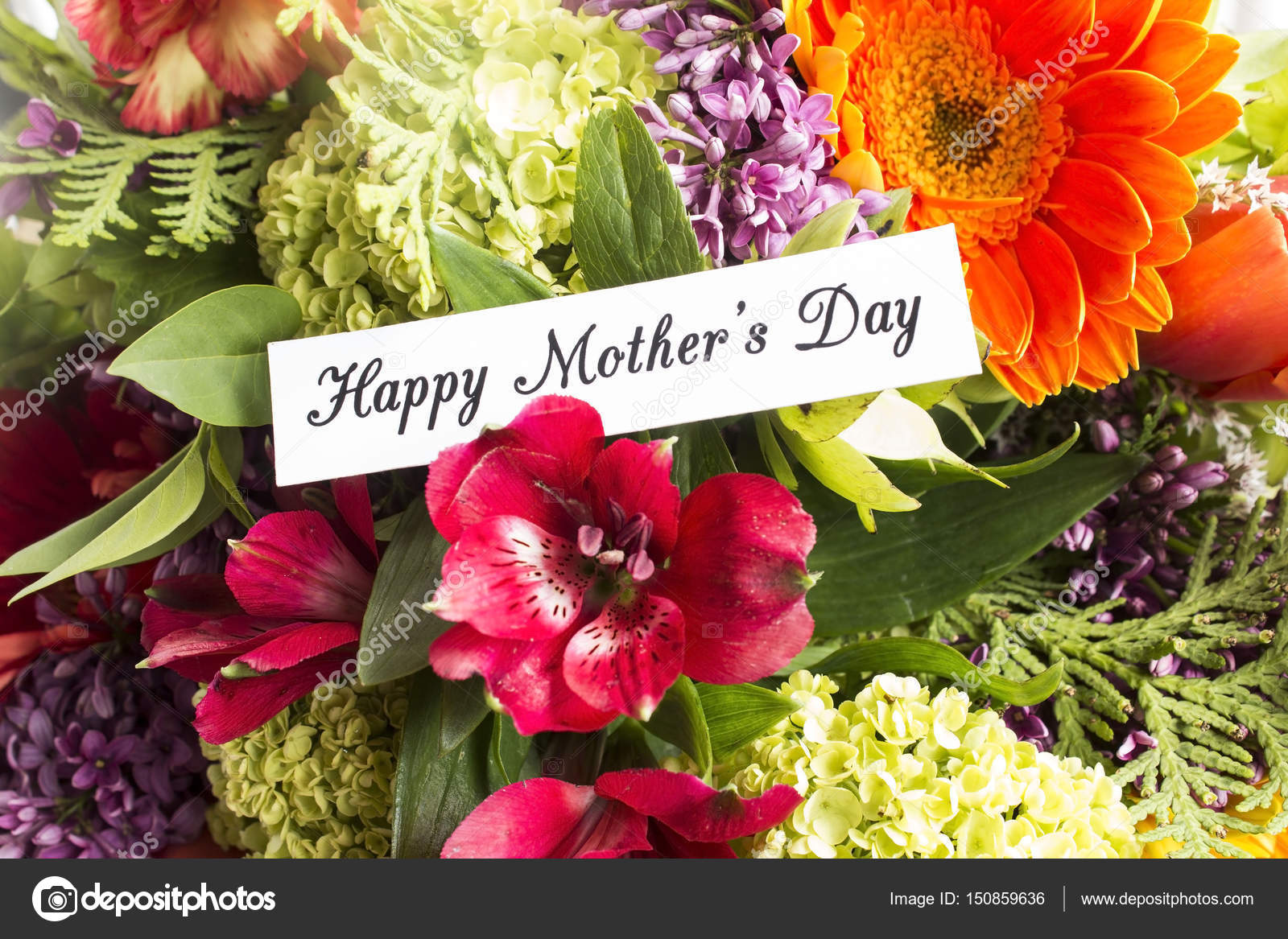 Bonne Fête Carte De Voeux Photographie Simonida 150859636