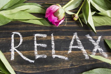 Word rahatla yaprakları ve Bud Şakayık