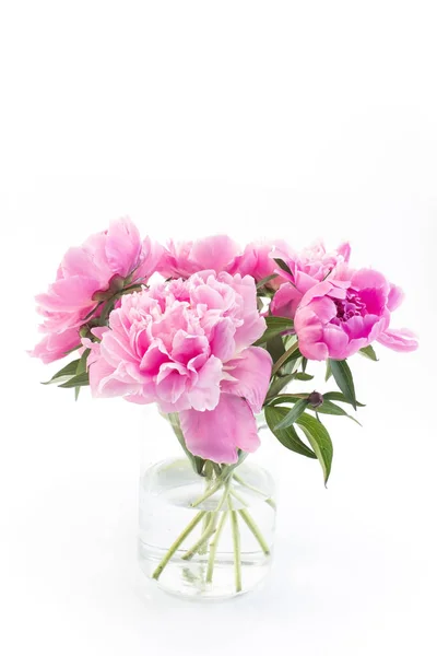 Vazoda pembe Peonies