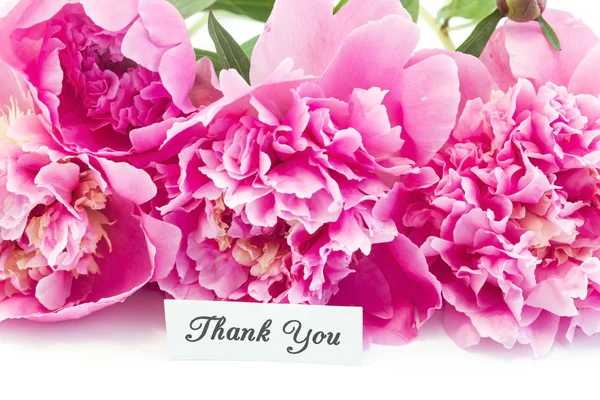 Buket pembe Peonies teşekkür kartı