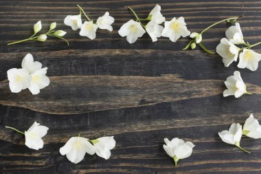 Kopya alanı Jasmin çiçekli