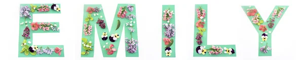 Emily Word vyrobené z papíru a jarní květiny — Stock fotografie