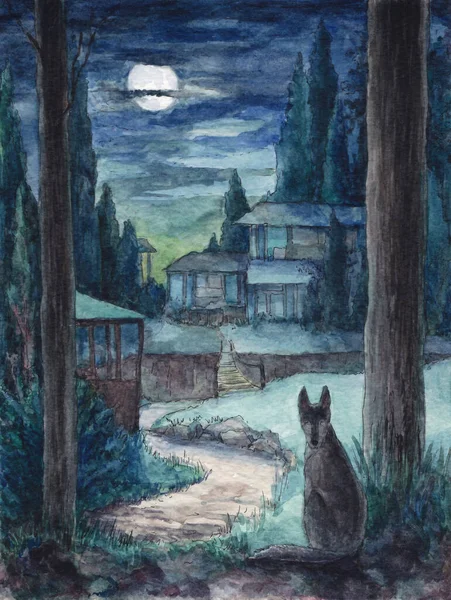 Нічна сцена з вовком, акварельний живопис, фентезі-ілюстрація — стокове фото