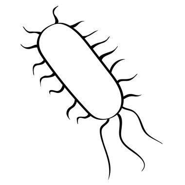 Kolon basili. Bakteri, mikrop ya da virüs hücrelerini gösteren sindirim sistemi ya da sindirim kanalı.
