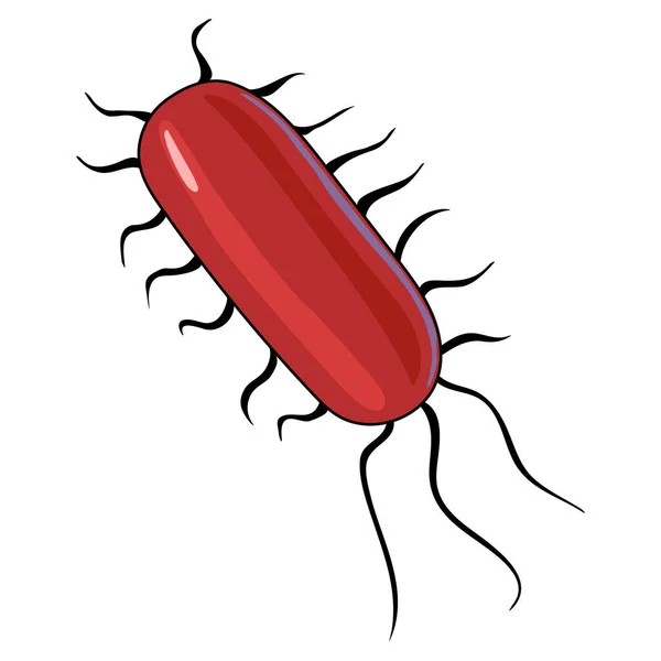 コロン菌だ。細菌、細菌またはウイルス細胞を示す消化管または消化管. — ストックベクタ