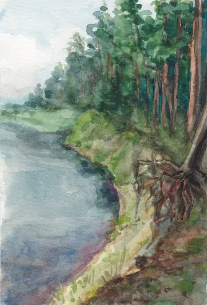 Watercolor landscape. The majestic northern expanse of the mighty river flowing among the spruce forest, summer