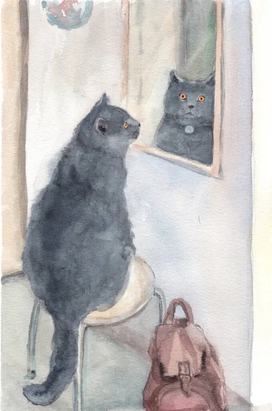 Die Graue Katze Und Der Spiegel Aquarell Illustration — Stockfoto
