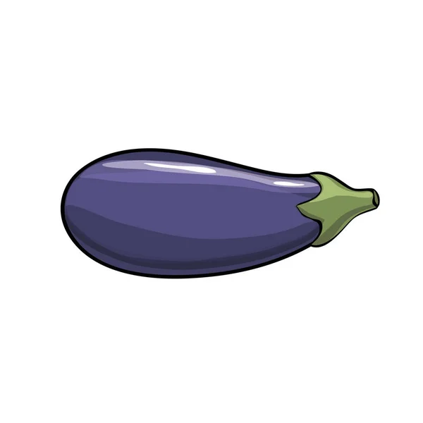 Vector. Aubergine. aubergine op de witte achtergrond — Stockvector