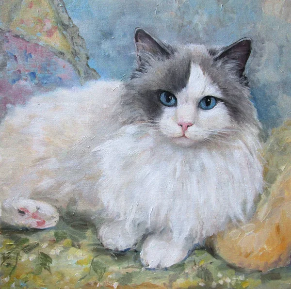 Retrato Gato Ragdoll Pintura — Fotografia de Stock