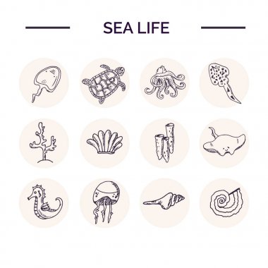 Elle çizilmiş doodle deniz hayat seti.