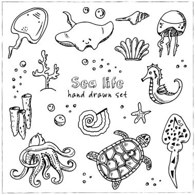Elle çizilmiş doodle deniz hayat seti.